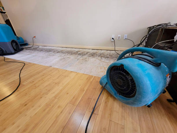 Professional Water Damage Repair technician working in Hilbert, WI